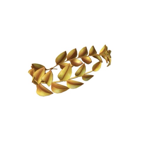 Roblox confetti corona - confetti, foglia